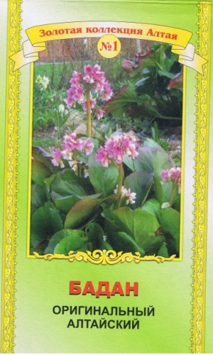 Raíz de badan 50 g