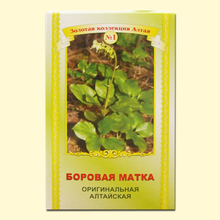 Da floresta matka, 25 ges